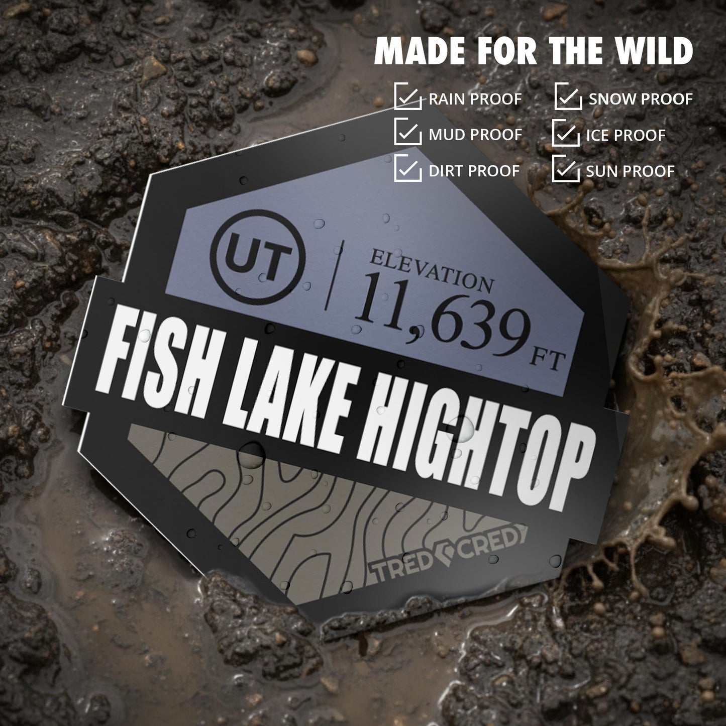 Sticker: Fish Lake Hightop
