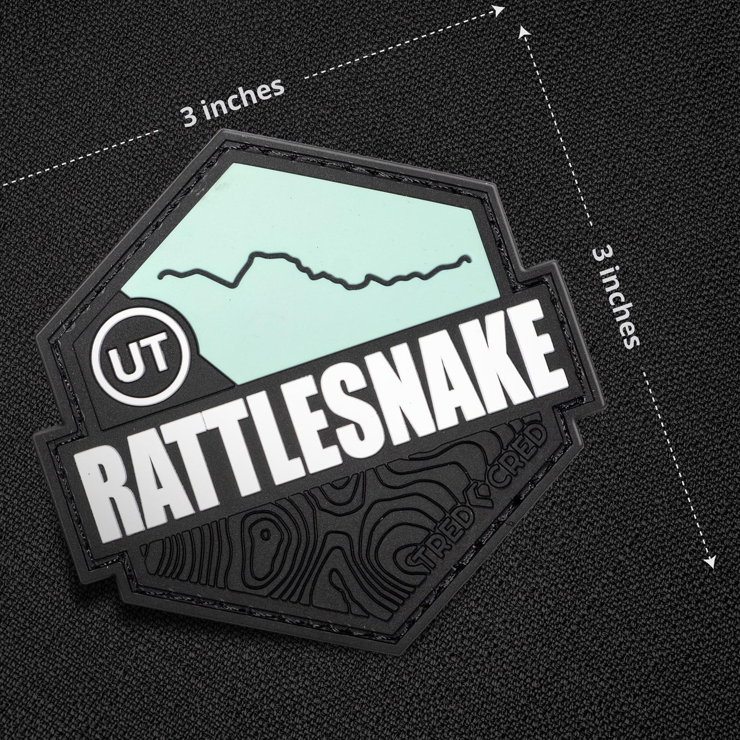 Patch: Rattlesnake
