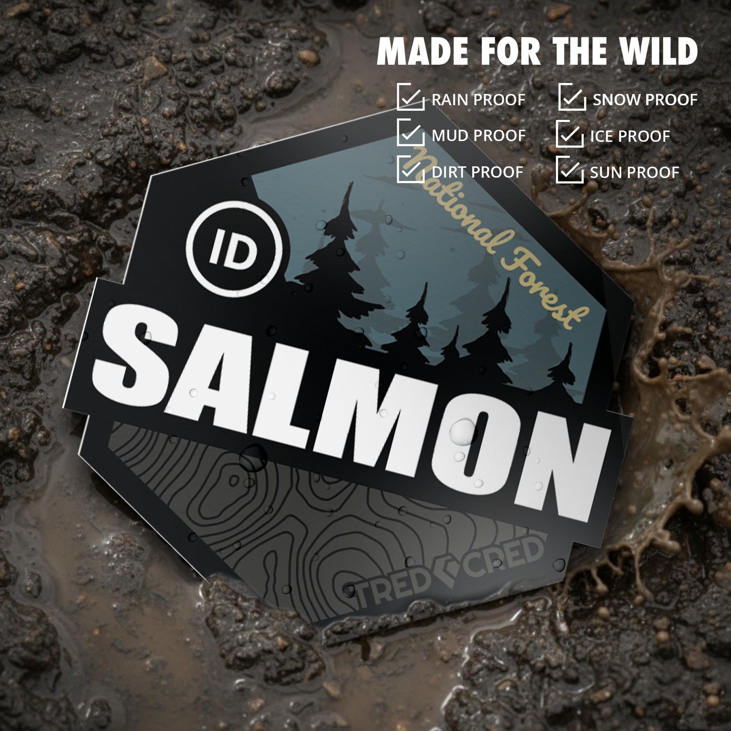 Sticker: Salmon National Forest