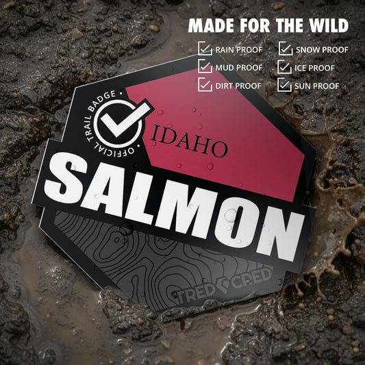 Sticker: Salmon