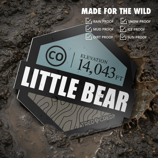 Sticker: Little Bear