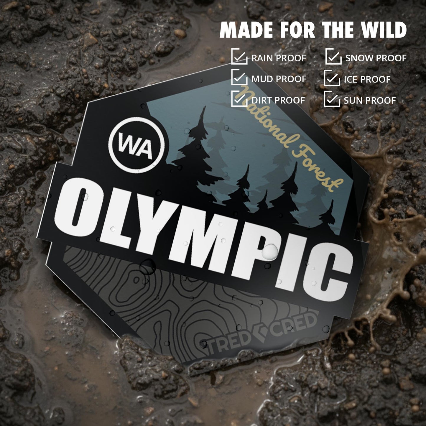 Sticker: Olympic National Forest