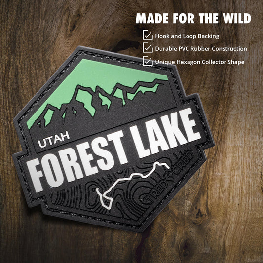 Patch: Forest Lake