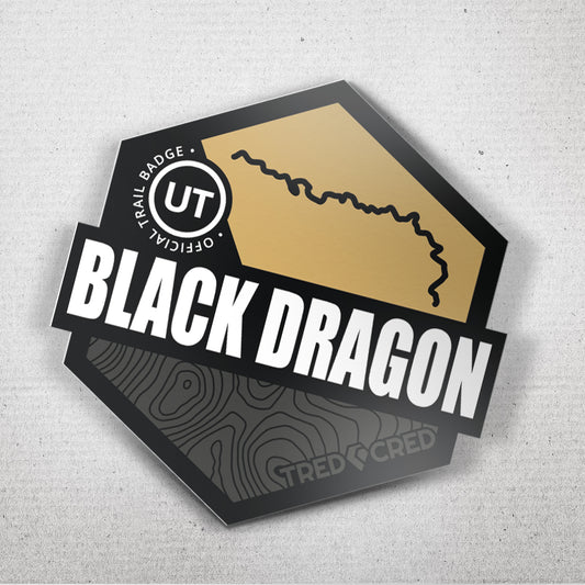 Sticker: Black Dragon Wash