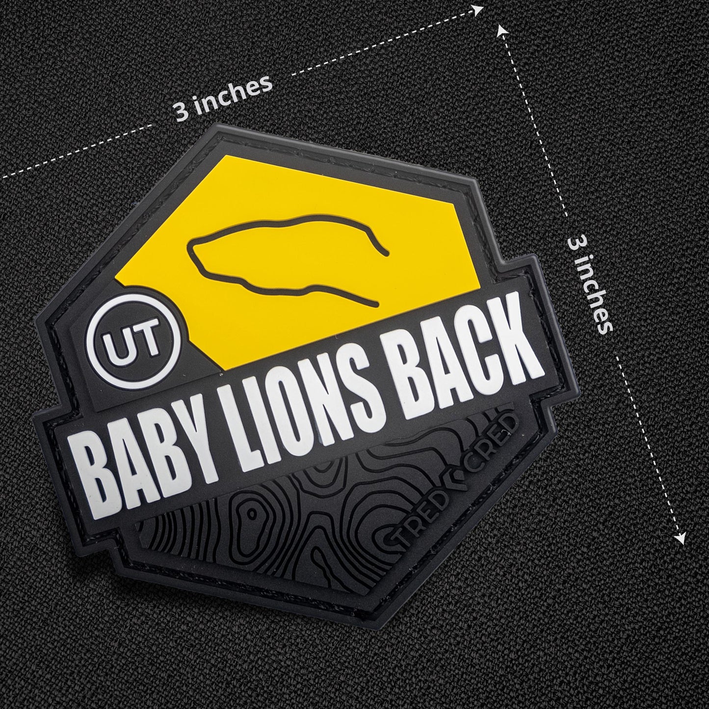 Patch: Baby Lions Back