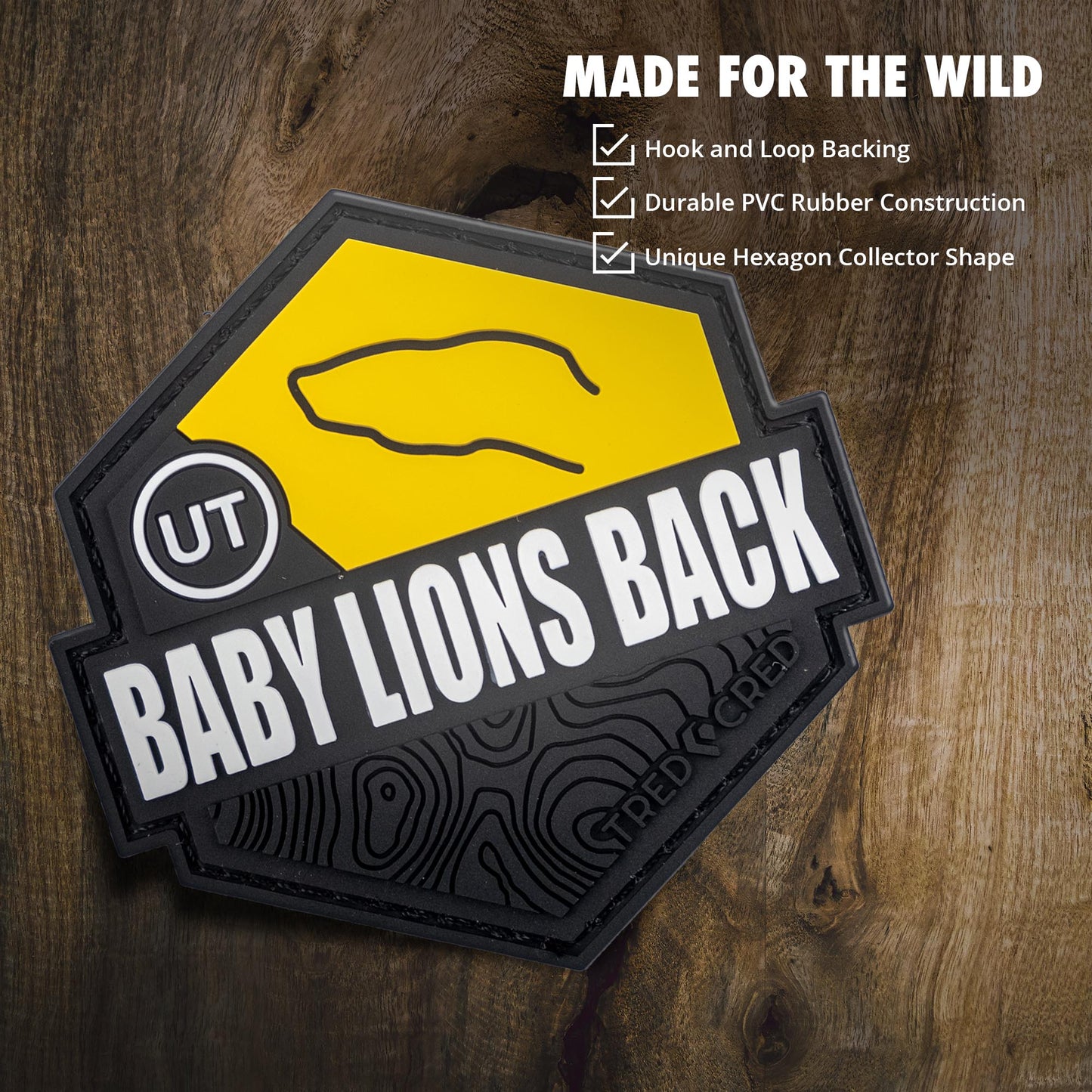 Patch: Baby Lions Back