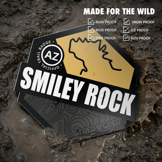 Sticker: Smiley Rock