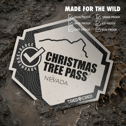Sticker: Christmas Tree Pass