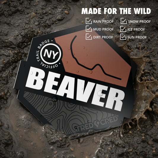 Sticker: Beaver