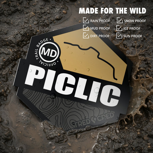 Sticker: Piclic