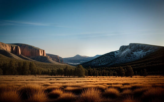 Best Off-Roading Trails in Red River, New Mexico