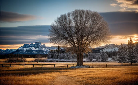 Off-Roading Trails In Jackson Hole