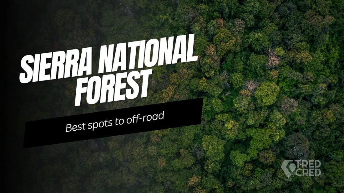 Sierra National Forest’s Best 4×4 Trails for Rugged Explorers