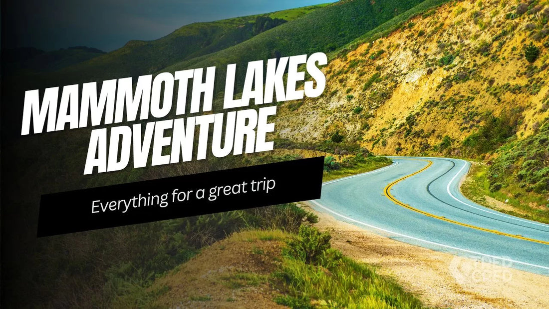 Off-Roading, Overlanding & Camping: A Mammoth Lakes Explorer’s Guide