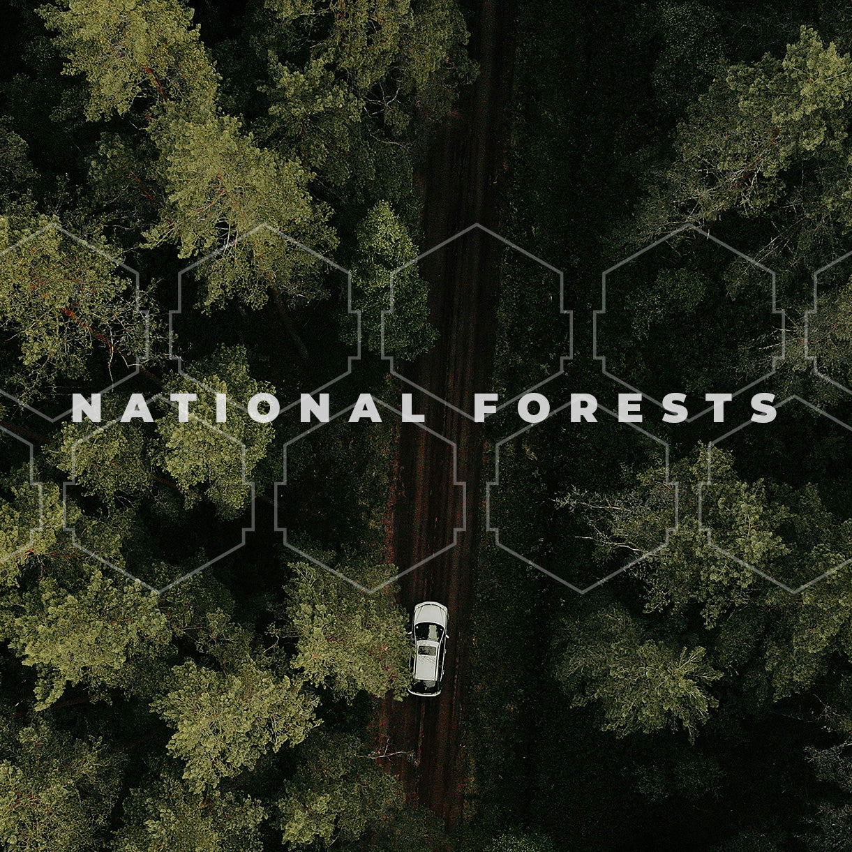 National Forest Badges