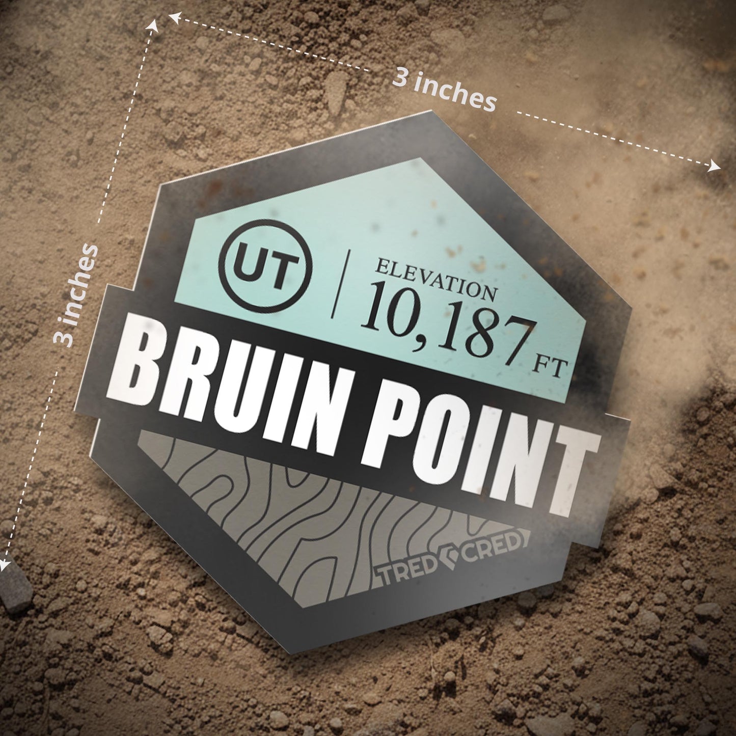 Sticker: Bruin Point