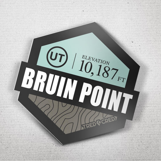 Sticker: Bruin Point