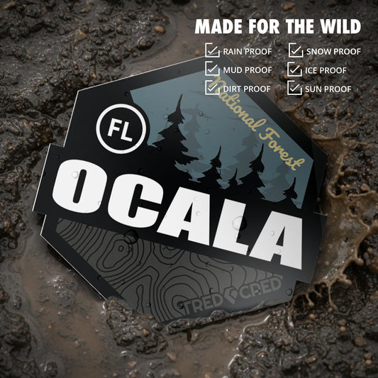Sticker: Ocala National Forest