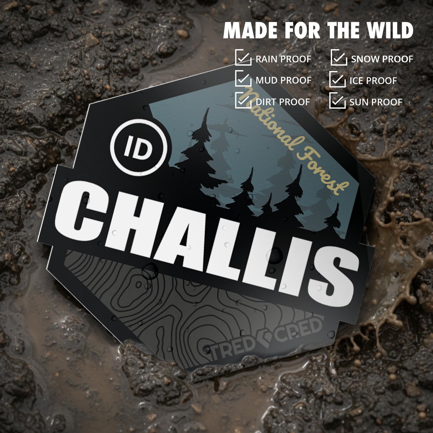 Sticker: Challis National Forest