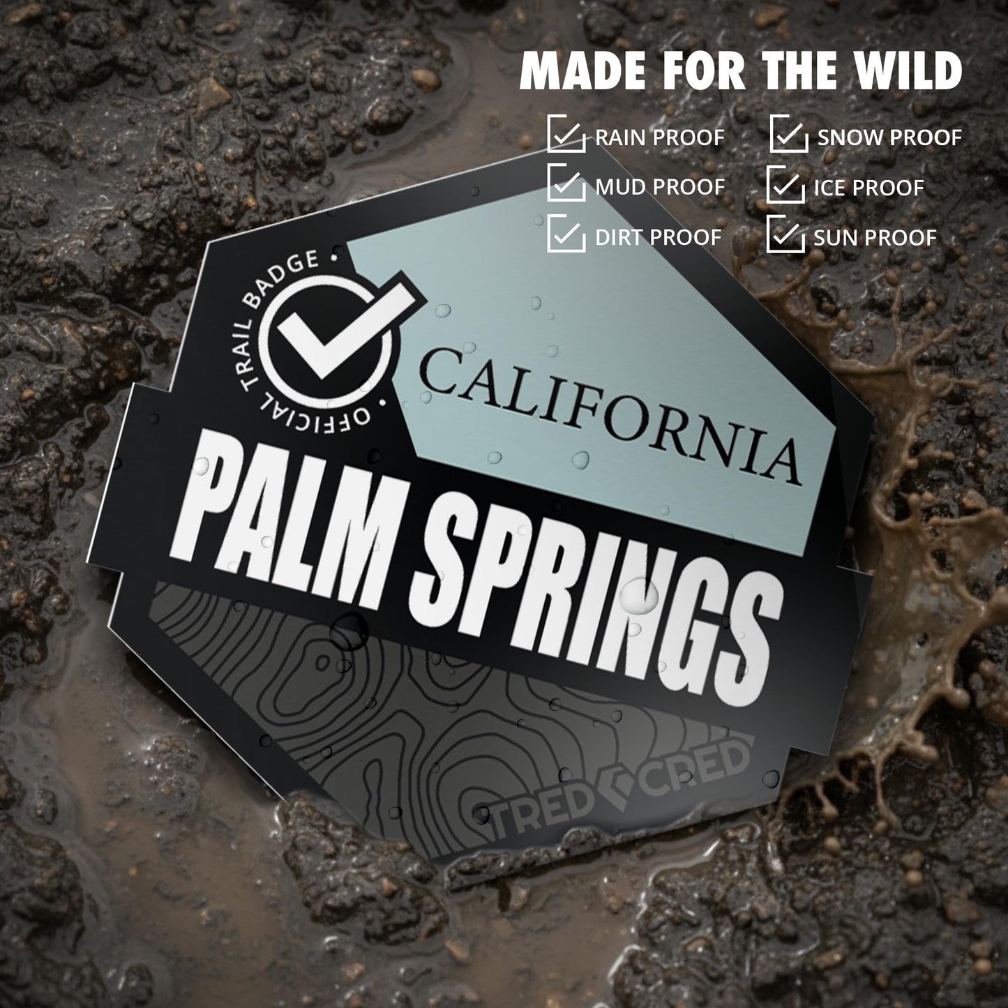 Sticker: Palm Springs