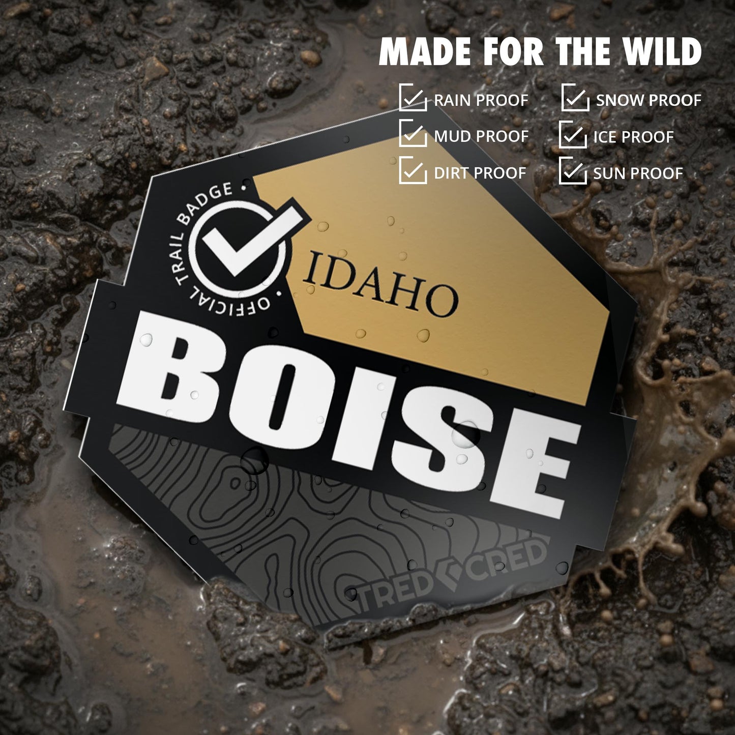 Sticker: Boise