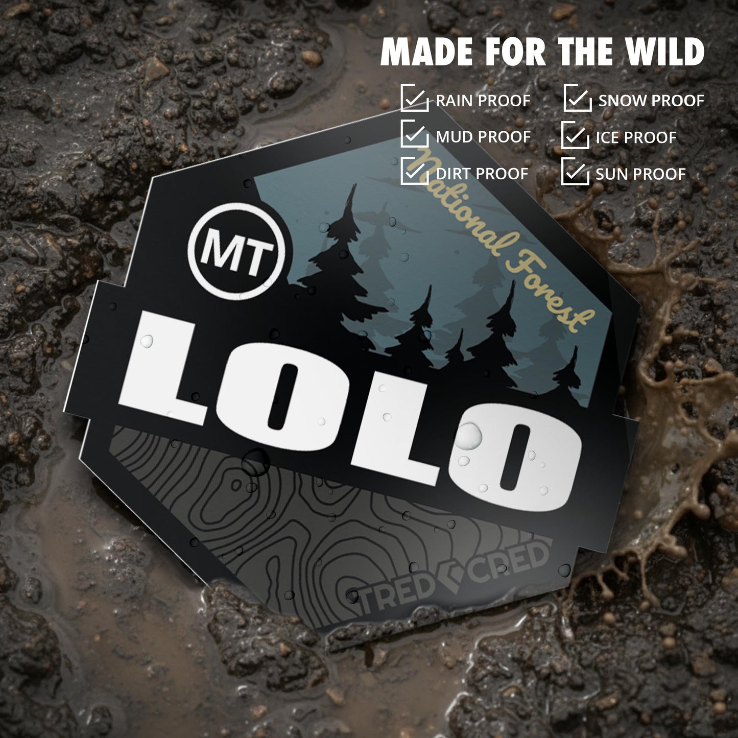 Sticker: Lolo National Forest