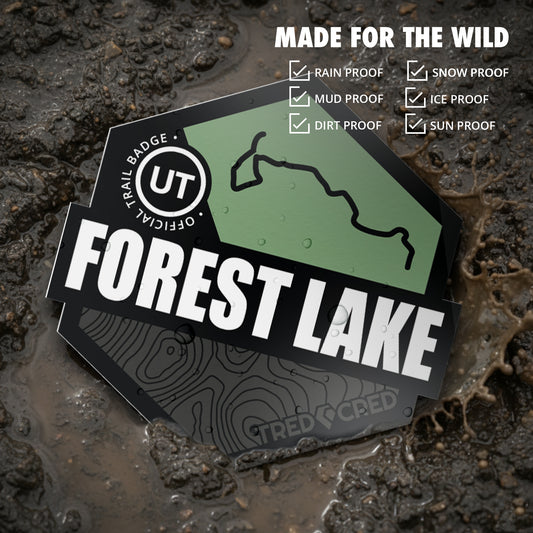 Sticker: Forest Lake
