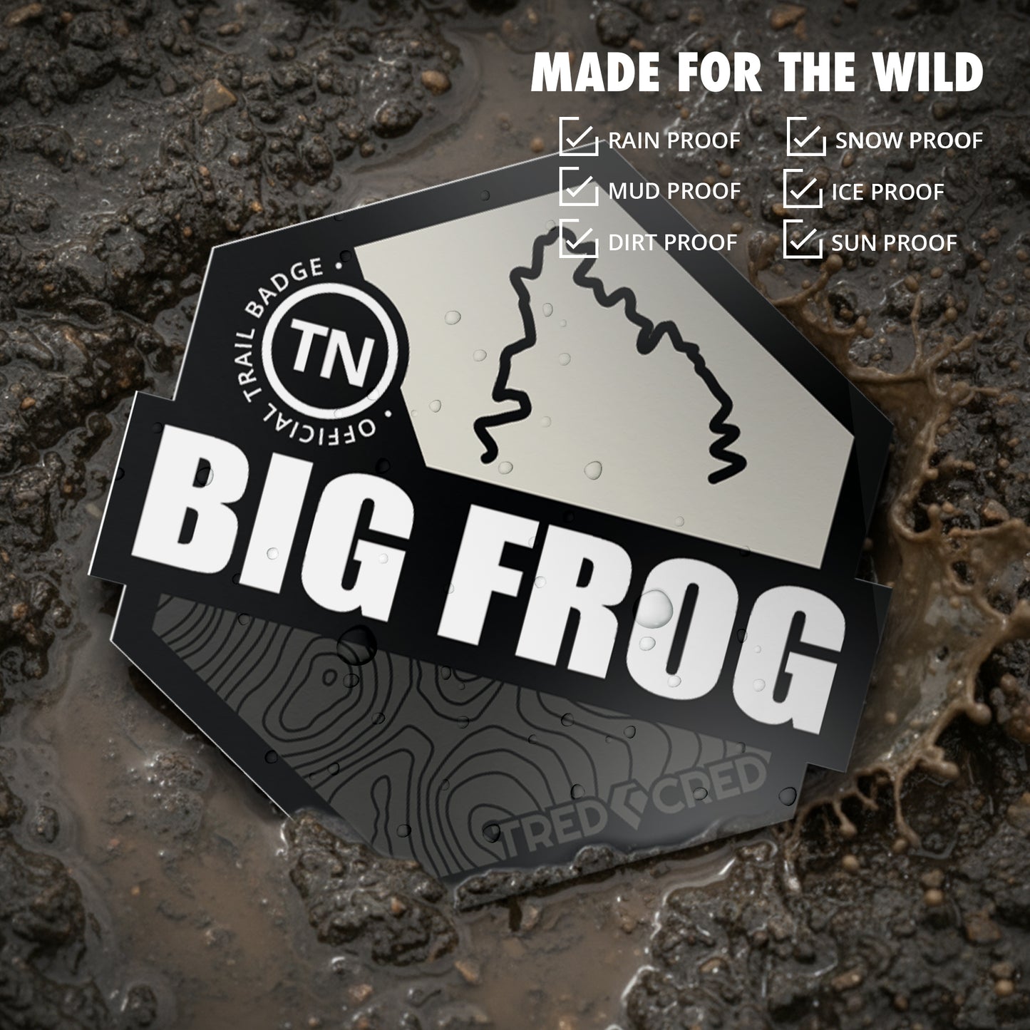 Sticker: Big Frog