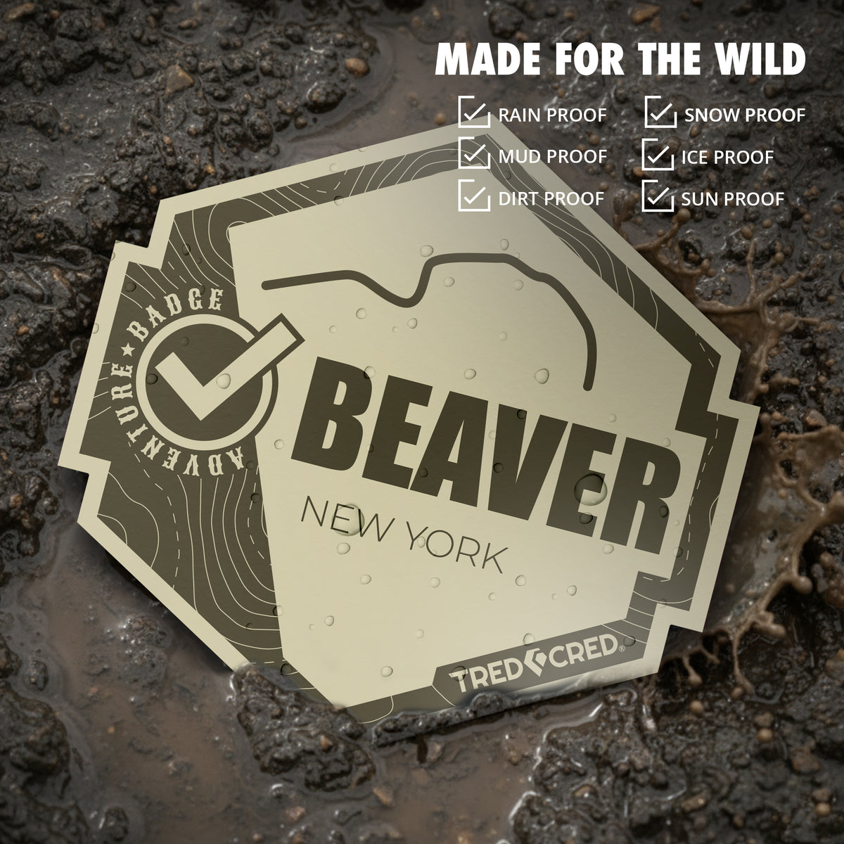Sticker: Beaver