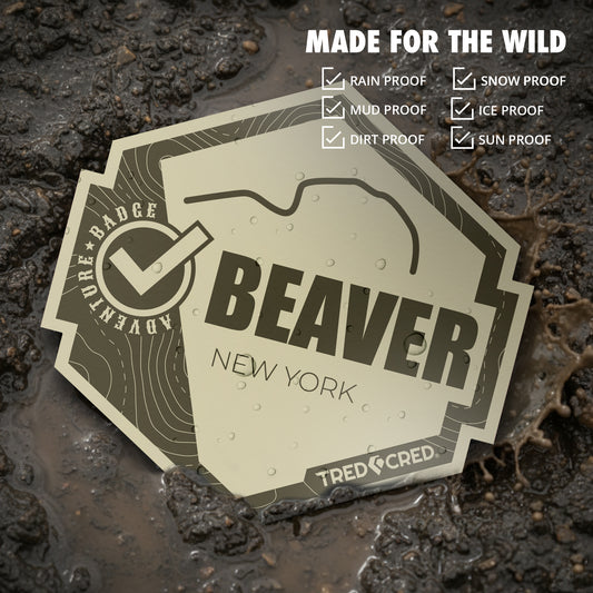Sticker: Beaver