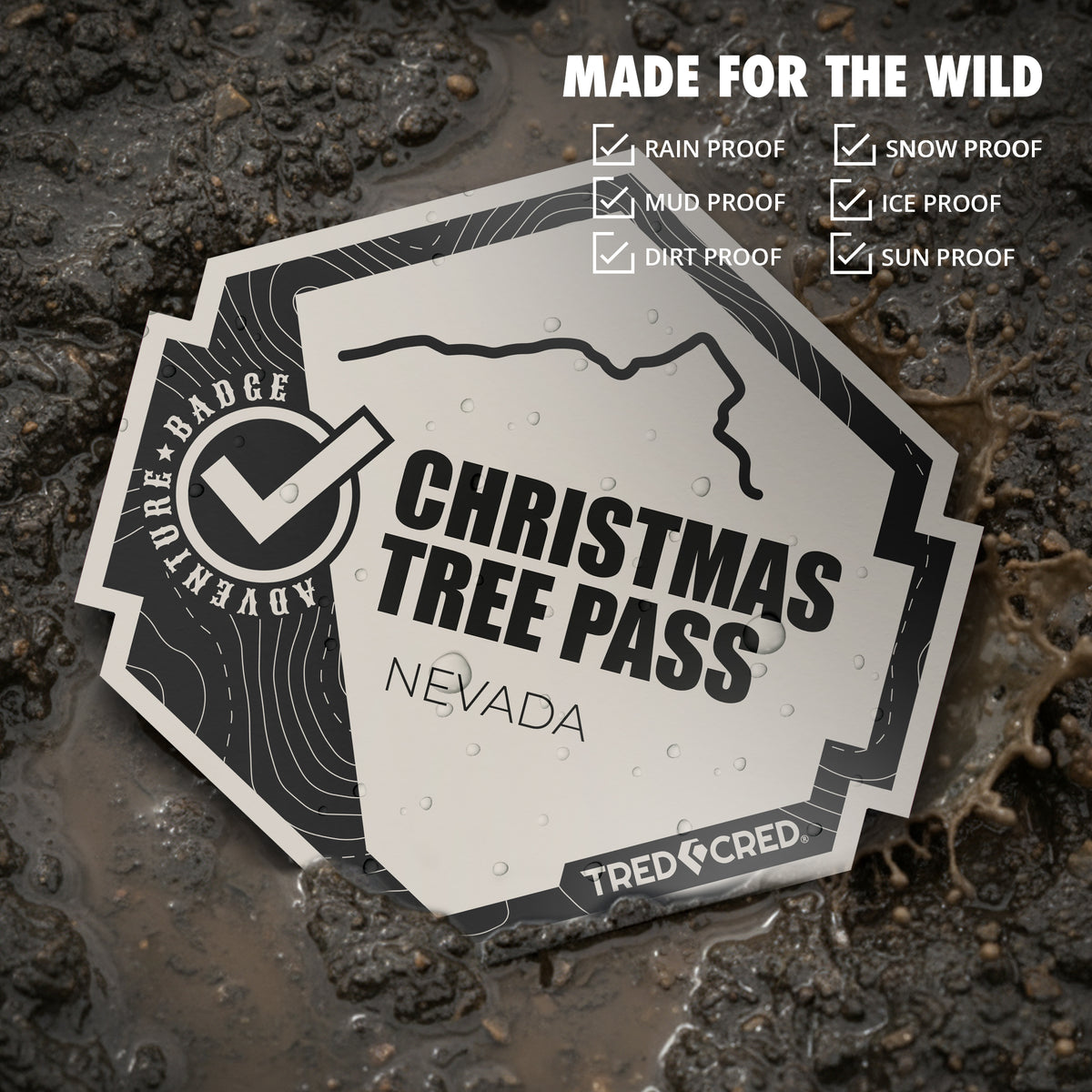 Sticker: Christmas Tree Pass