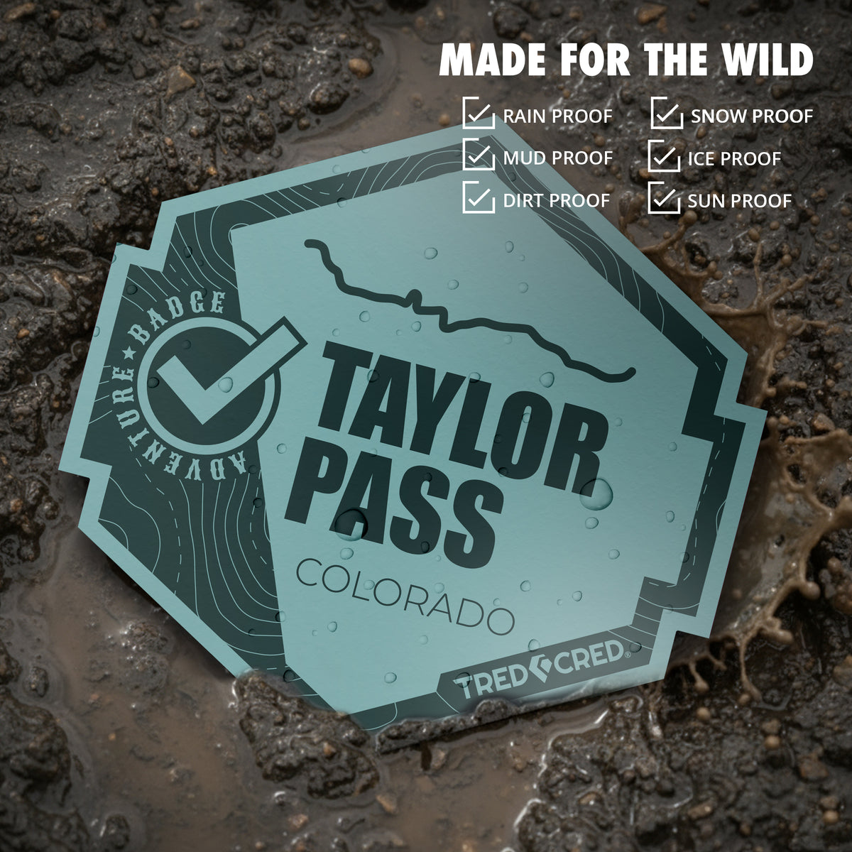 Sticker: Taylor Pass