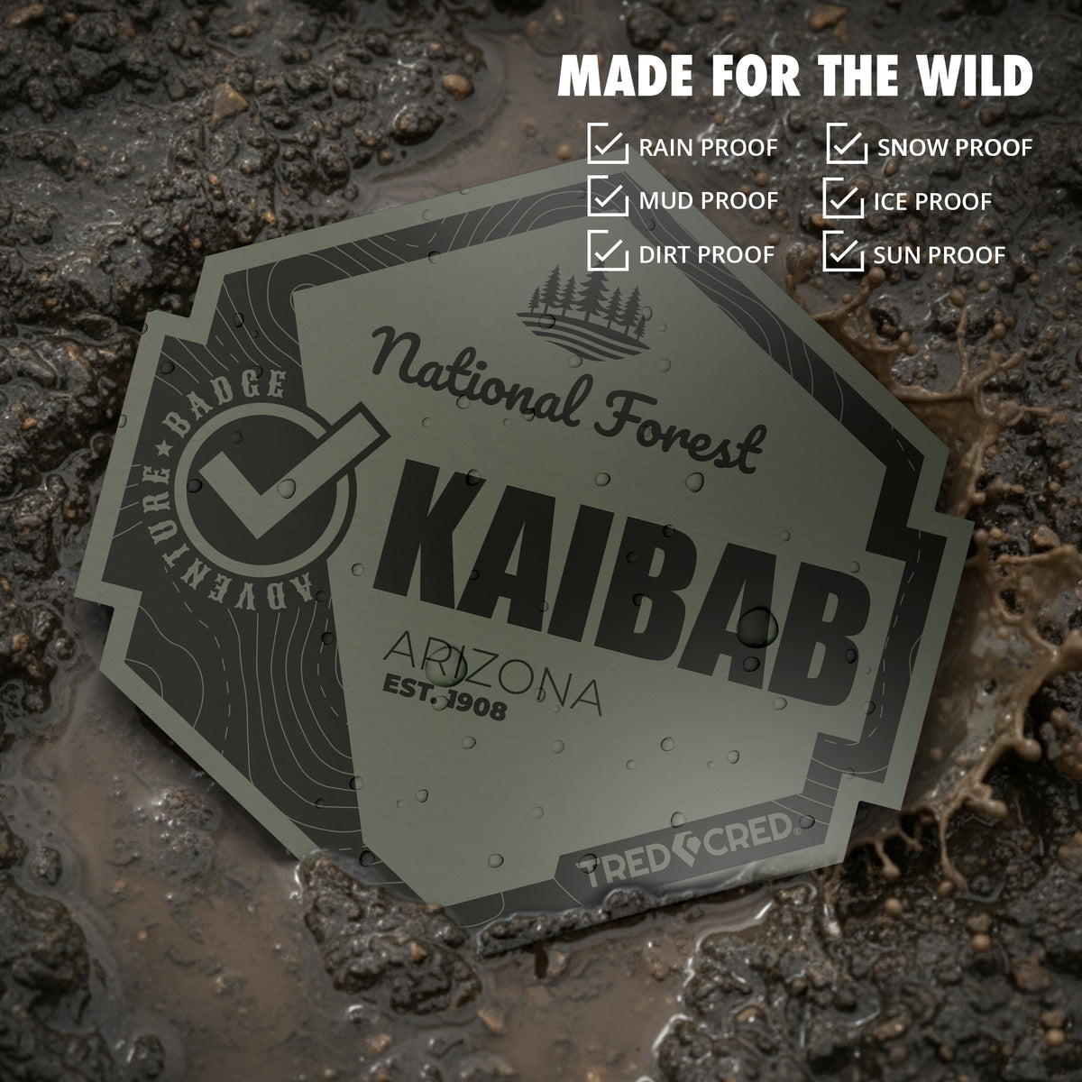 Sticker: Kaibab National Forest