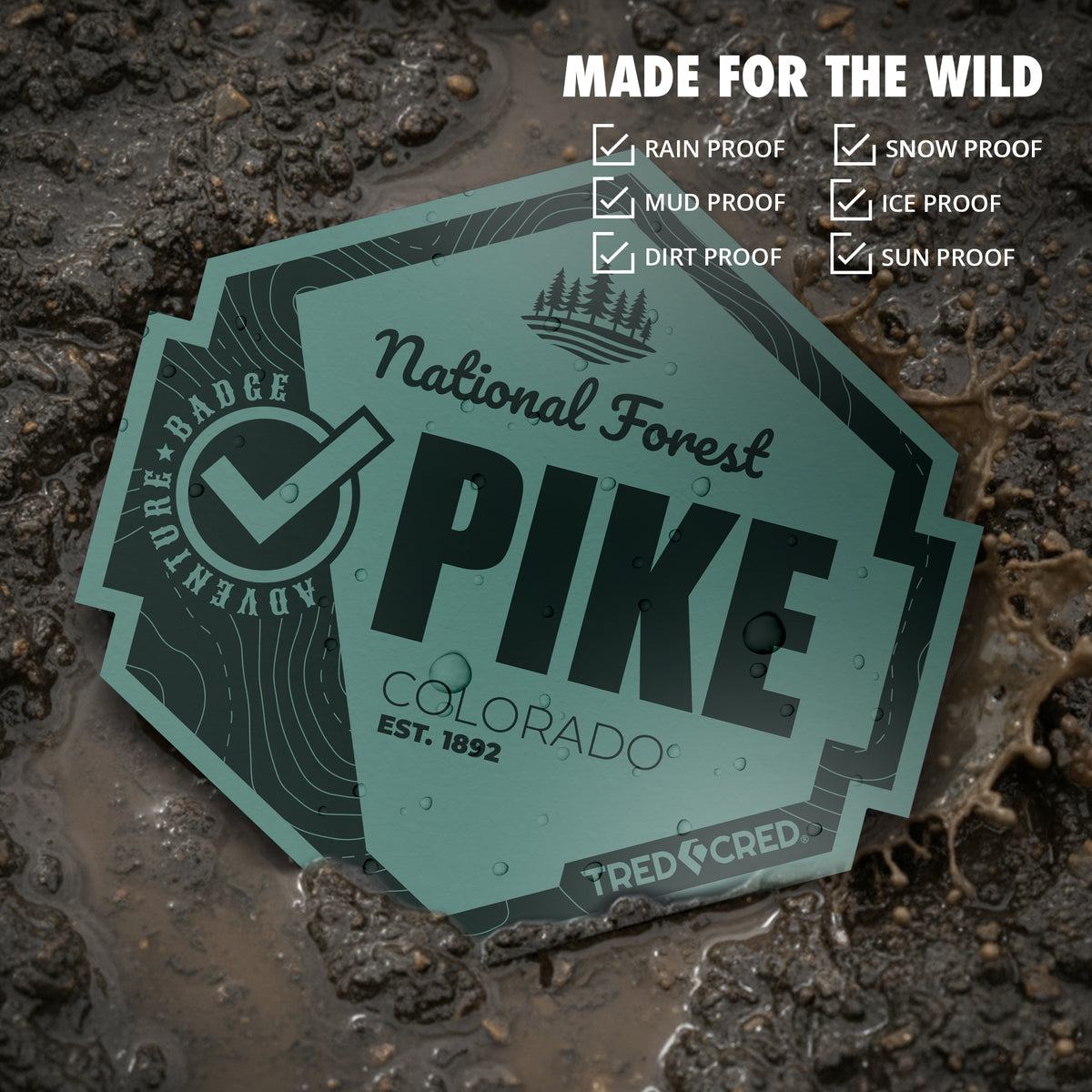Sticker: Pike National Forest