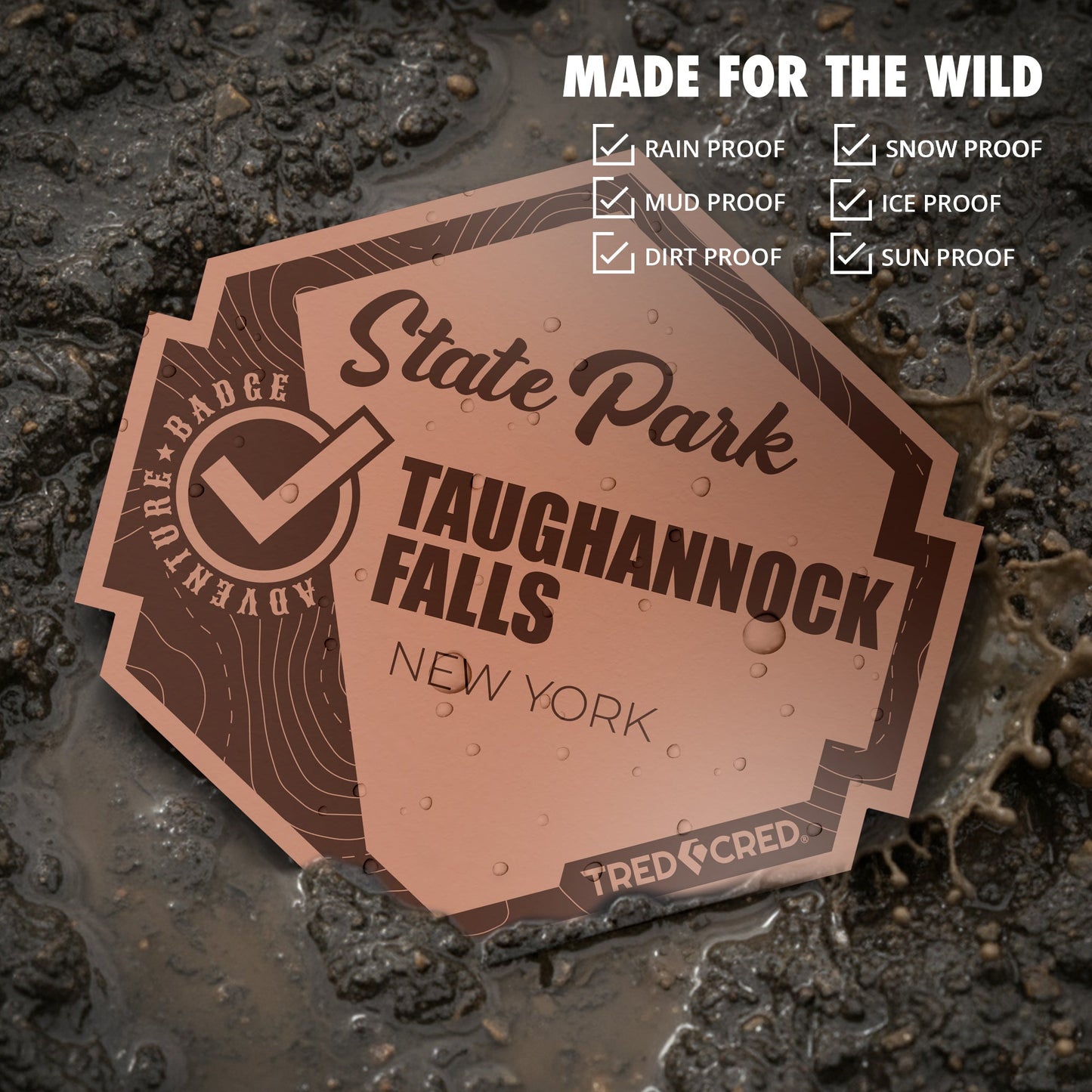 Sticker: Taughannock Falls State Park