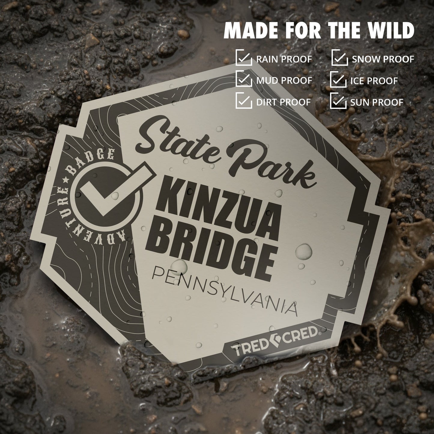 Sticker: Kinzua Bridge State Park