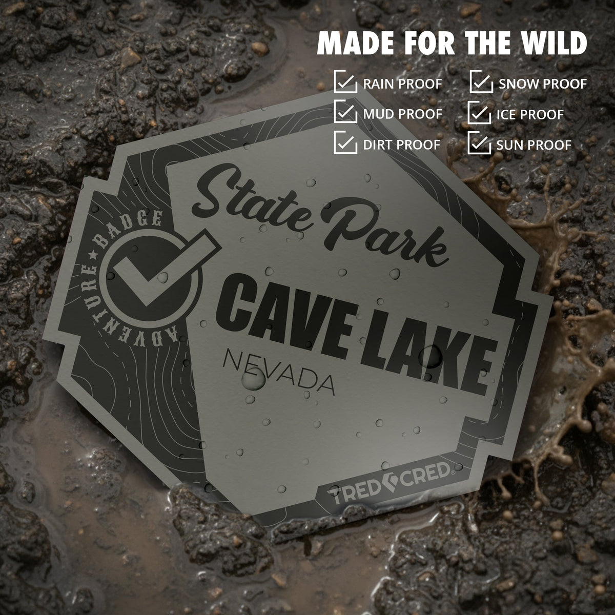 Sticker: Cave Lake State Park