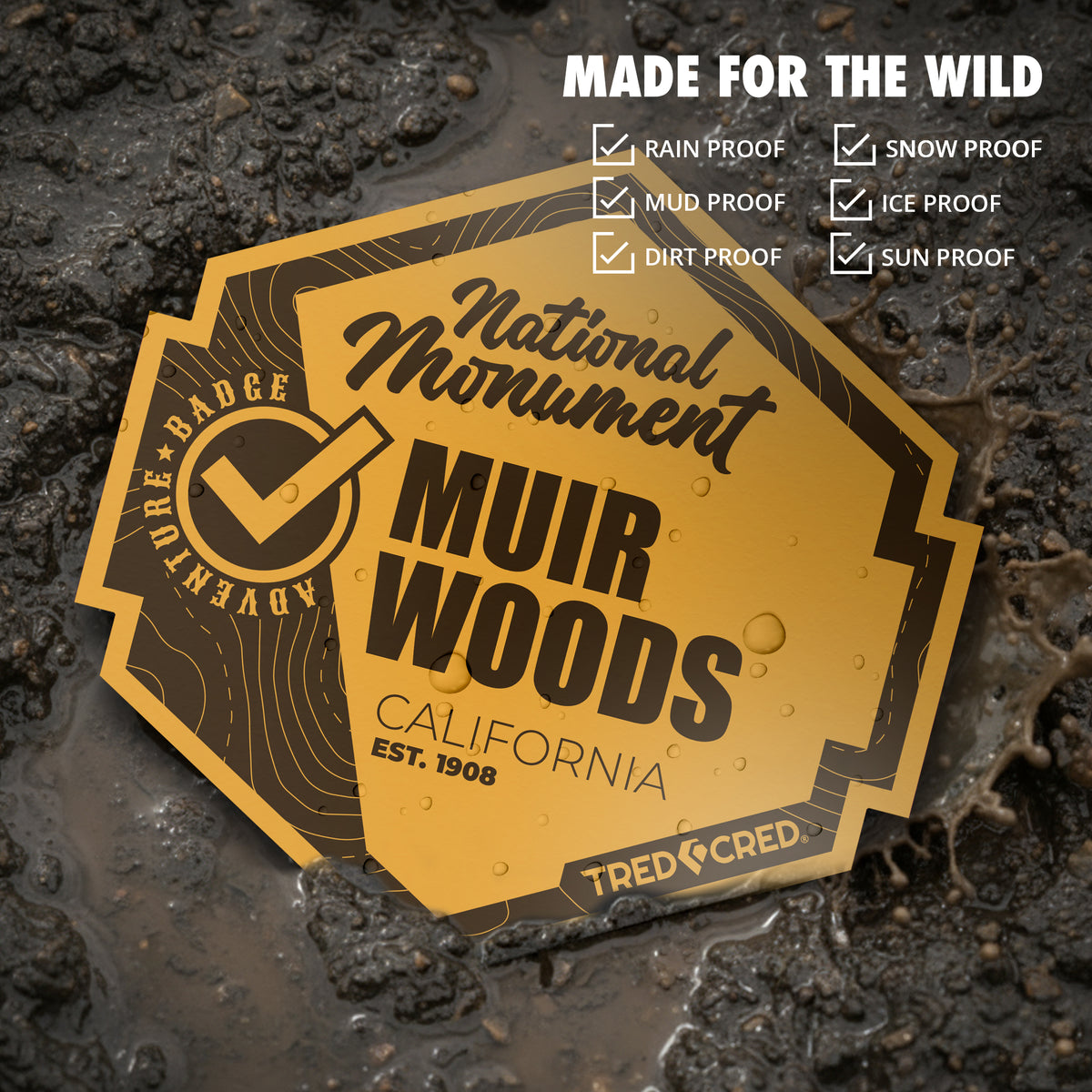 Sticker: Muir Woods National Monument