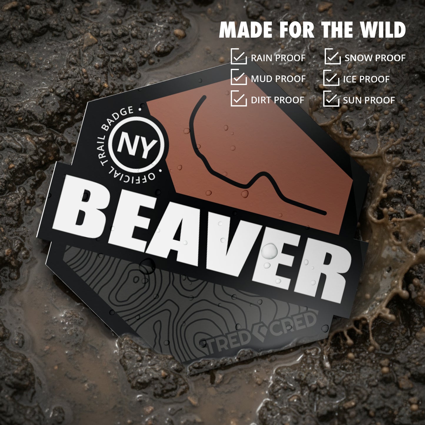 Sticker: Beaver