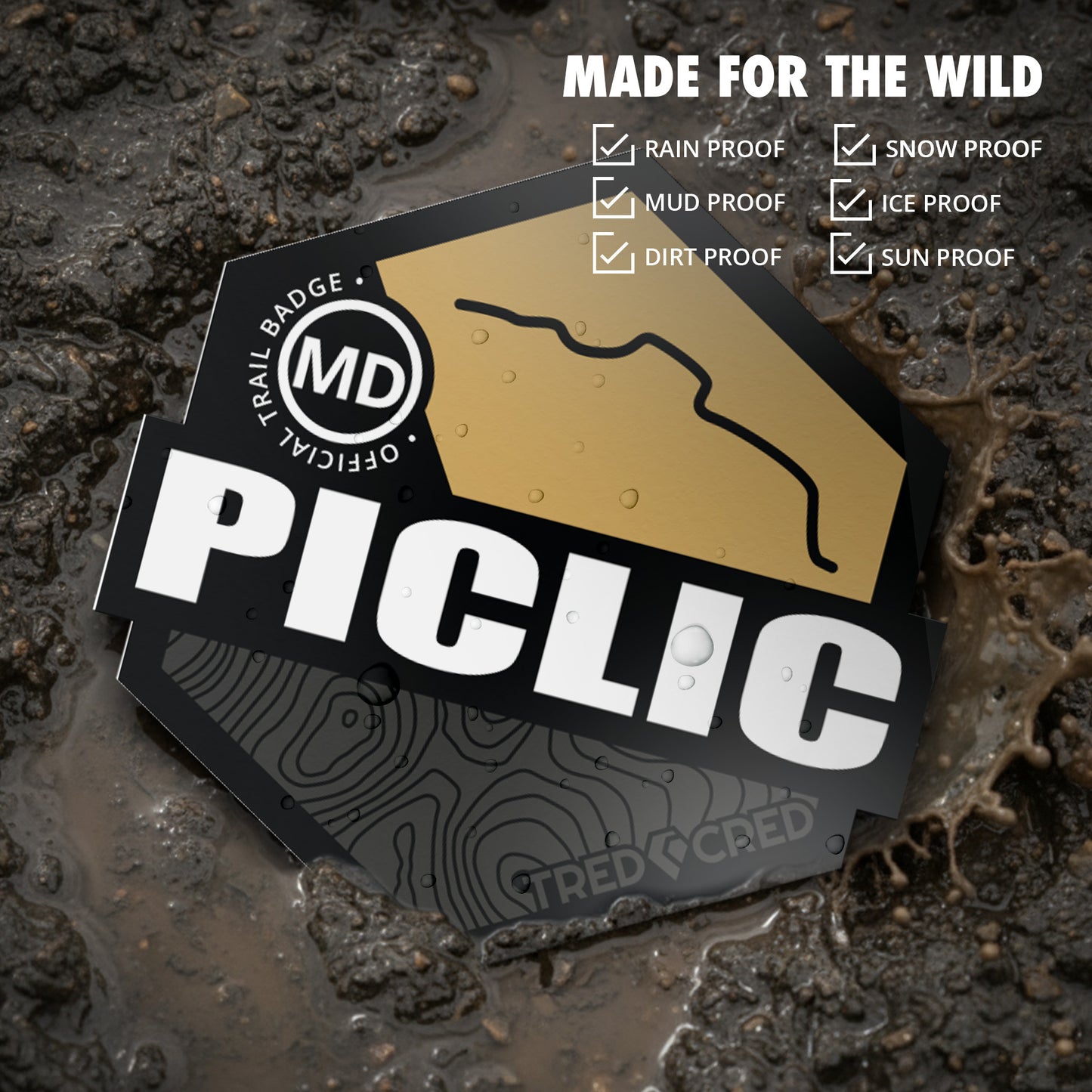 Sticker: Piclic