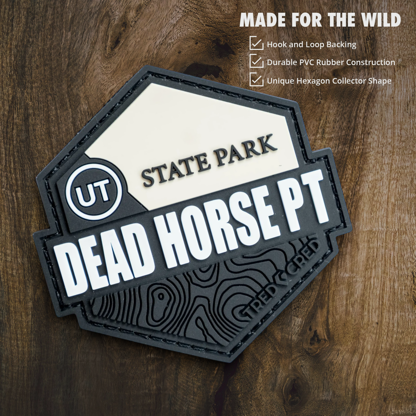 Tred Cred Dead Horse Point State Park hexagonal PVC patch with hook and loop backing on a wooden surface.