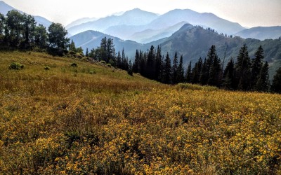 Mountain Biking The Wasatch Crest Trail