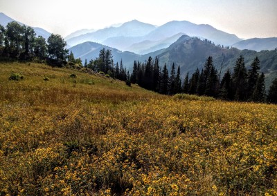 wasatch crest mountain biking trail 7