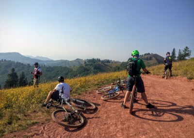 wasatch crest mountain biking trail 6