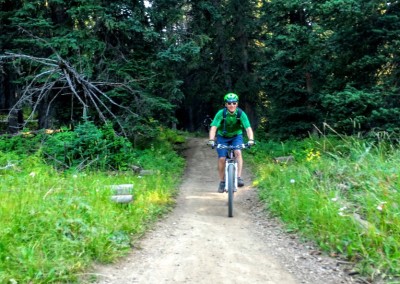 wasatch crest mountain biking trail 2