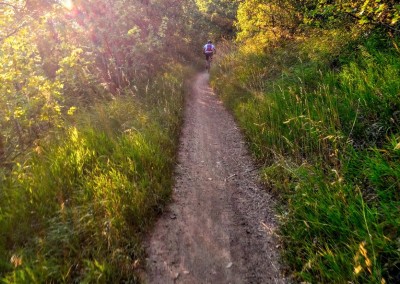 wasatch crest mountain biking trail 1