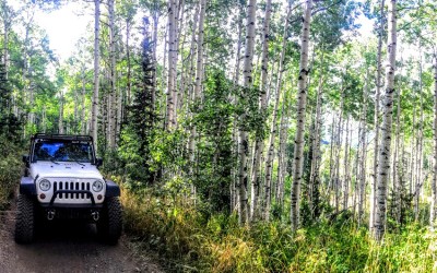 Off-Roading FR193 Silver Lake Flat Trail