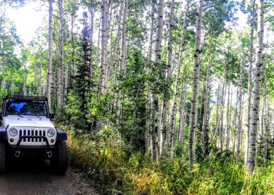 4x4 american fork canyon 11