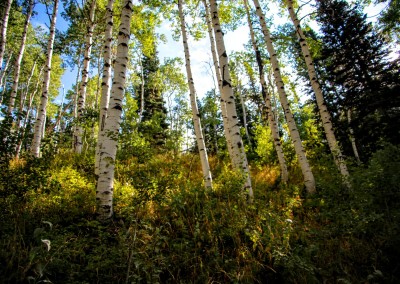 4x4 american fork canyon 2