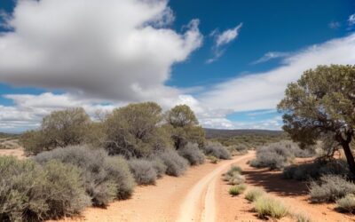 California’s Off-roading Treasures: Where History and Adventure Collide